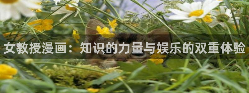 韩漫漫画官网入口免费阅读