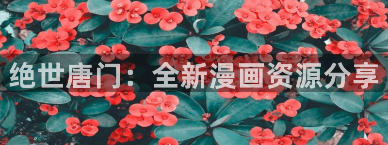 韩漫漫画全集：绝世唐门：全新漫画资源分享