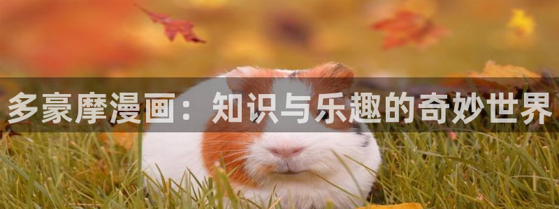 韩漫漫画在线观：多豪摩漫画：知识与乐趣的奇妙世界